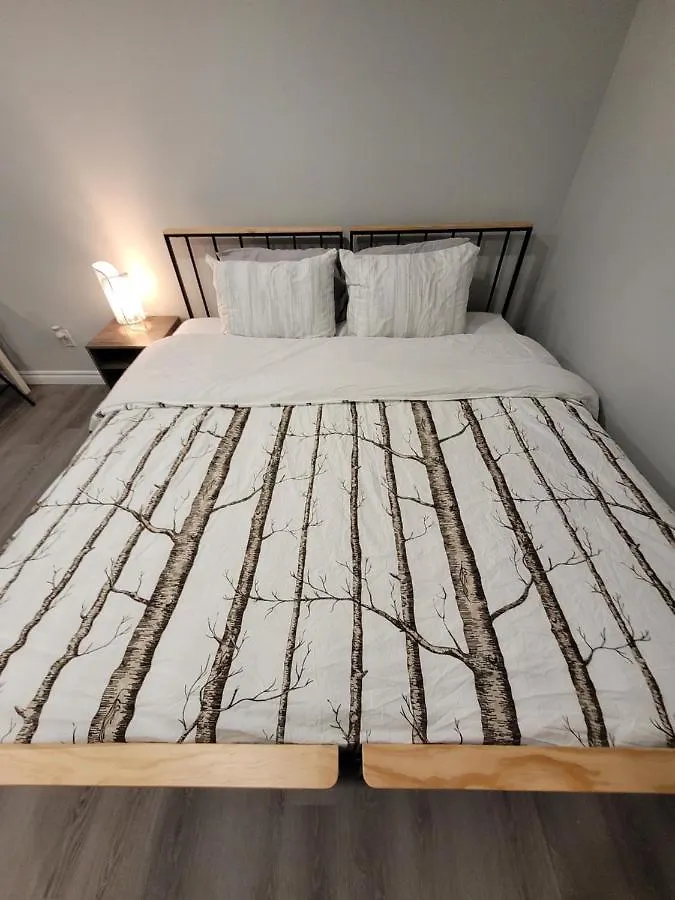 Guest House Basement - Master Bedrooms In Bayview Village Toronto 0*,  Canada